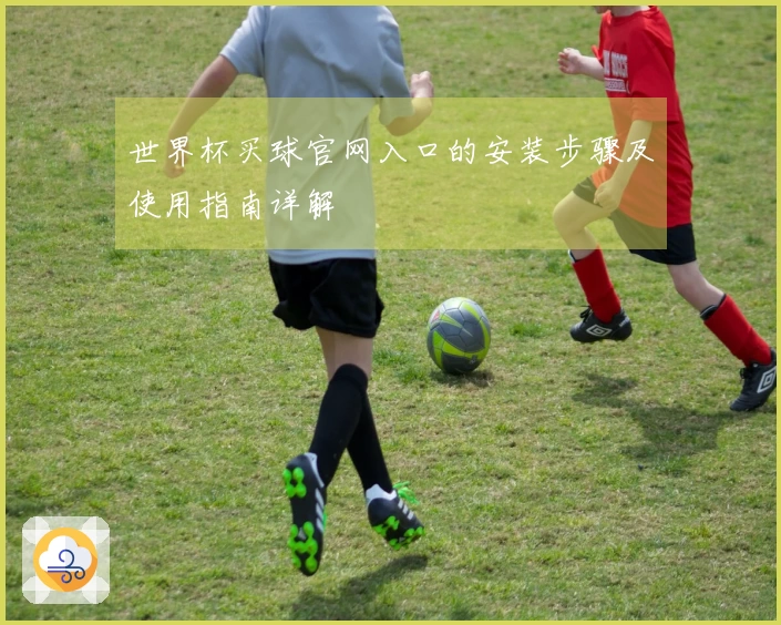 世界杯买球官网入口的安装步骤及使用指南详解
