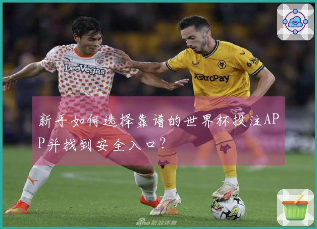 新手如何选择靠谱的世界杯投注APP并找到安全入口？