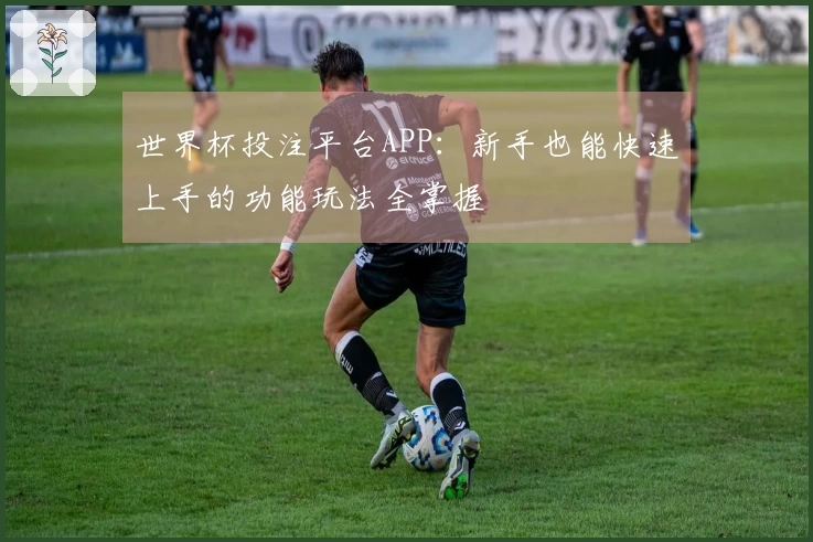 世界杯投注平台APP：新手也能快速上手的功能玩法全掌握