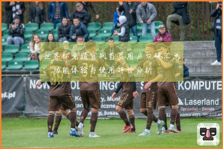 世界杯竞猜官网首页用户口碑汇总：功能体验与使用评价分析