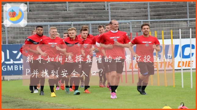 新手如何选择靠谱的世界杯投注APP并找到安全入口？