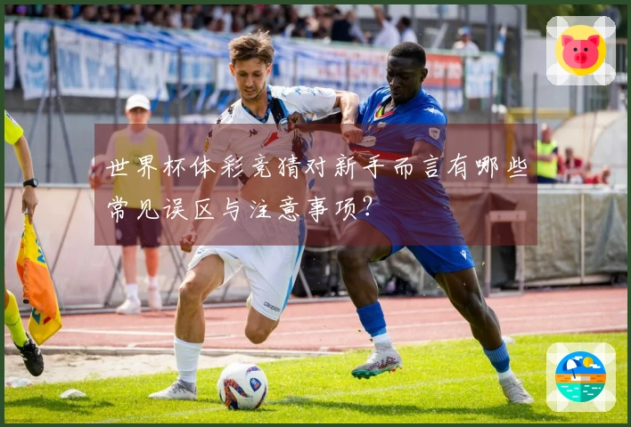 世界杯体彩竞猜对新手而言有哪些常见误区与注意事项？
