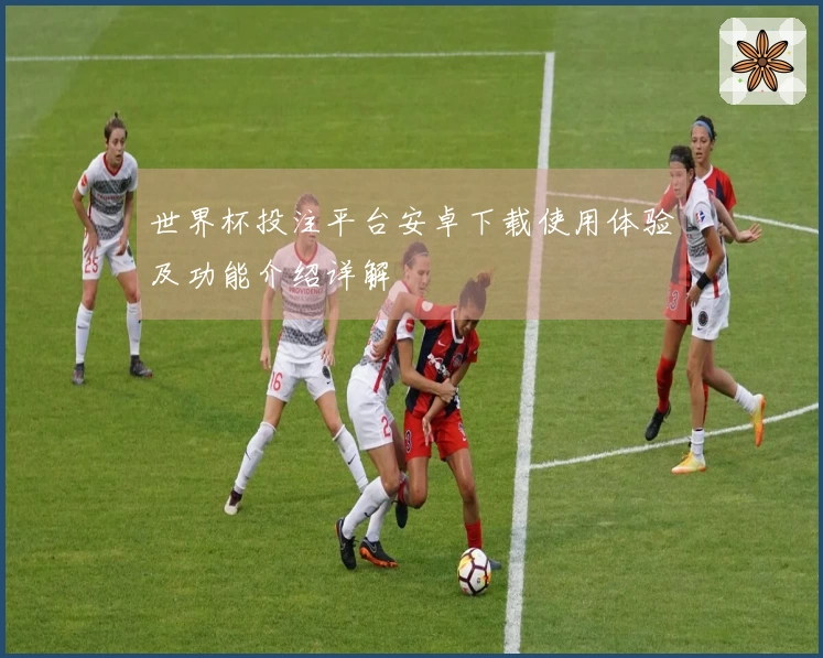 世界杯投注平台安卓下载使用体验及功能介绍详解