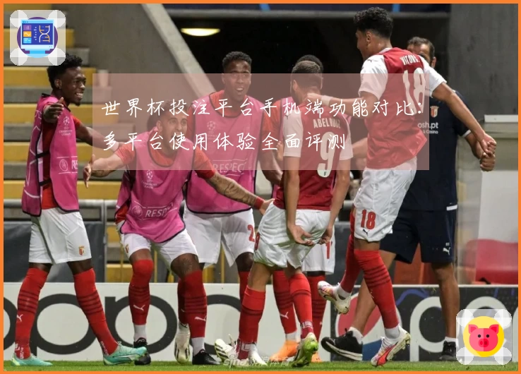 世界杯投注平台手机端功能对比：多平台使用体验全面评测