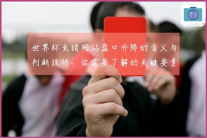 世界杯竞猜网站盘口升降的含义与判断技巧，你需要了解的关键要素是什么