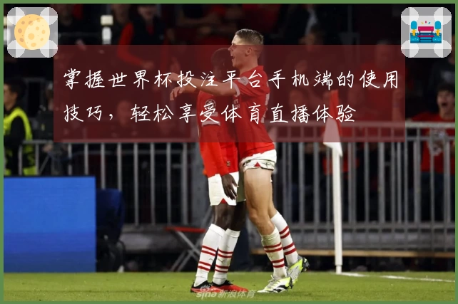 掌握世界杯投注平台手机端的使用技巧，轻松享受体育直播体验