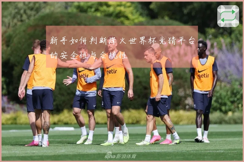 新手如何判断烽火世界杯竞猜平台的安全性与合规性